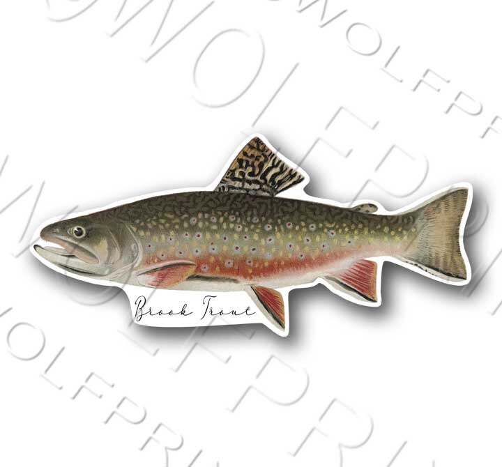 Northern Pike Fish Sticker 6" or 11" Wide Walleye Bass Boat Car Window Decal