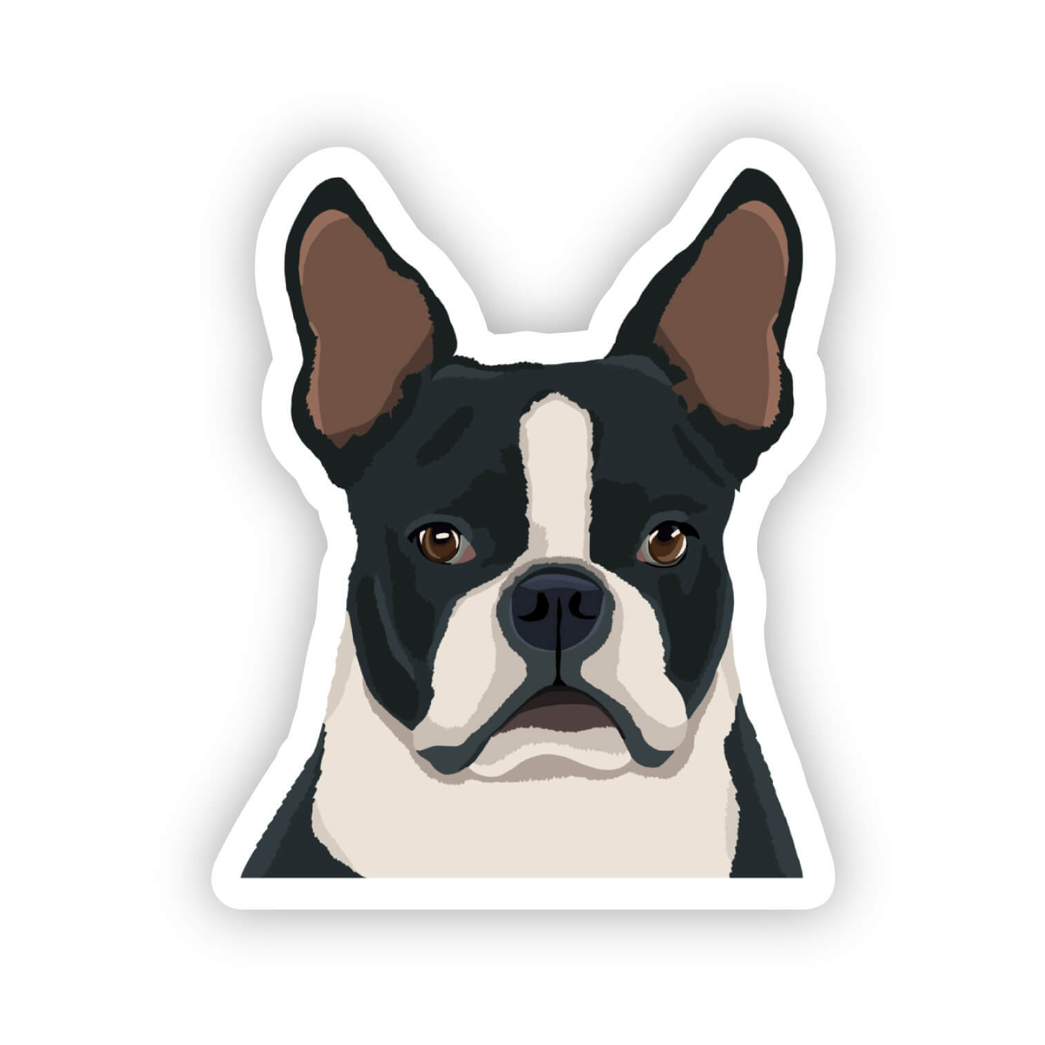 Black Boston Terrier Dog Sticker Water Bottle, Laptop, Phone, Dishwasher Safe