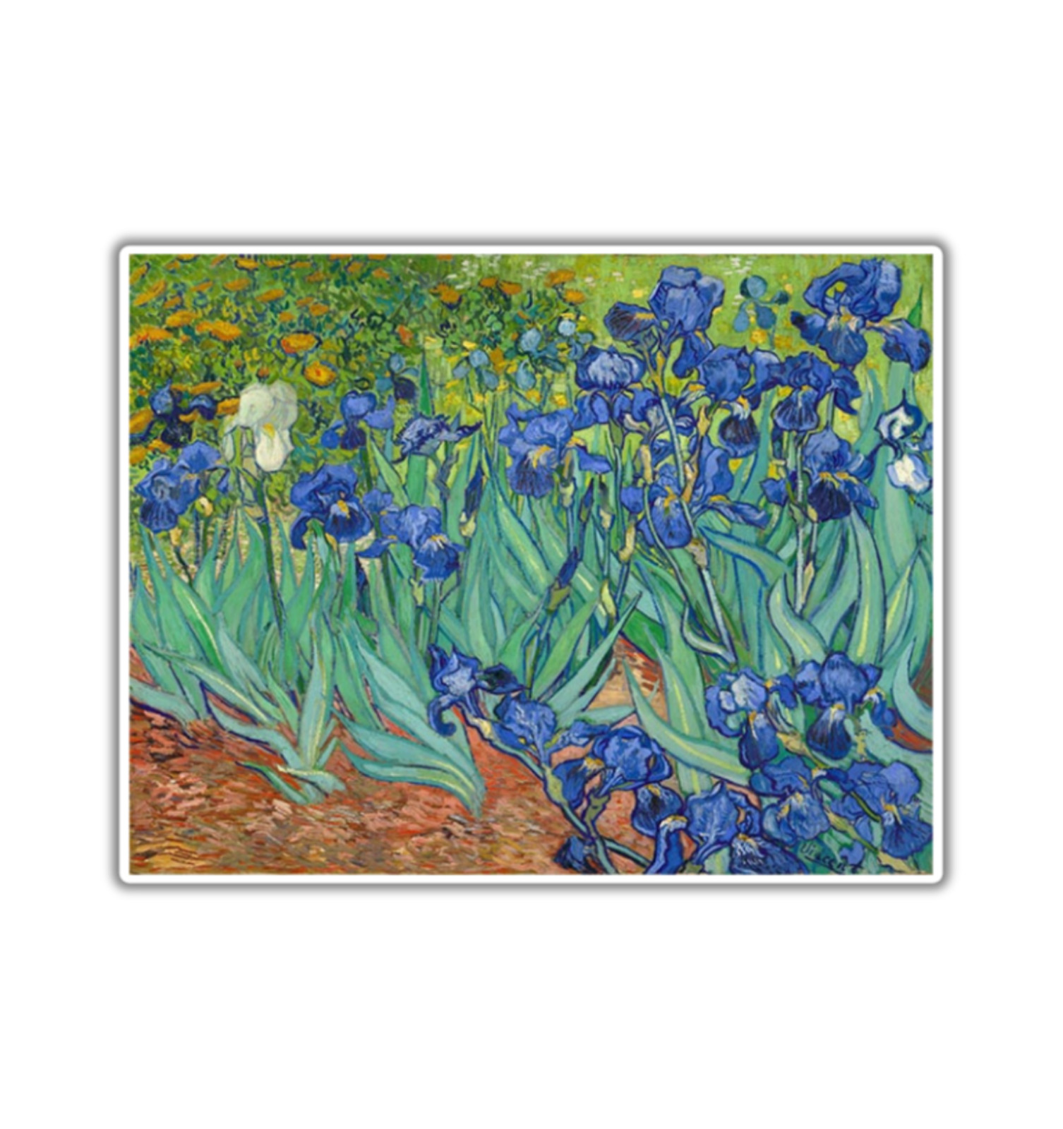 Irises by Vincent Van Gogh Fridge Magnet or Laptop Sticker