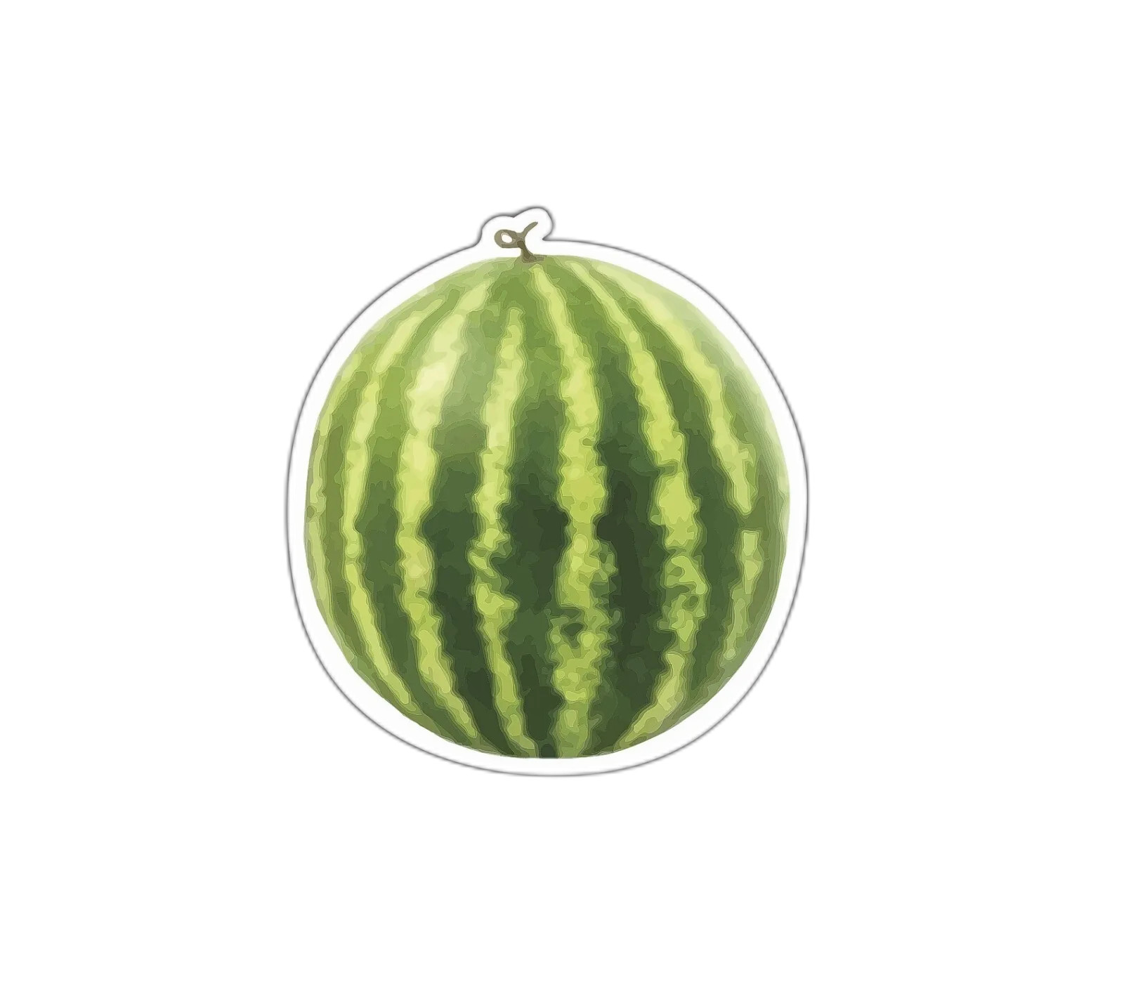 Watermelon Sticker Decal whole fruit