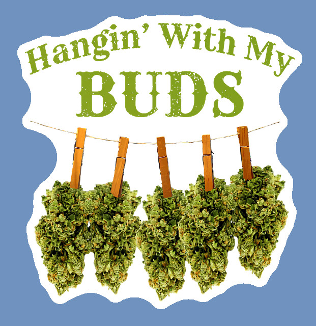 Hanging with My Buds Vinyl Sticker Weatherproof UV Safe Cannabis Decal Weed 420