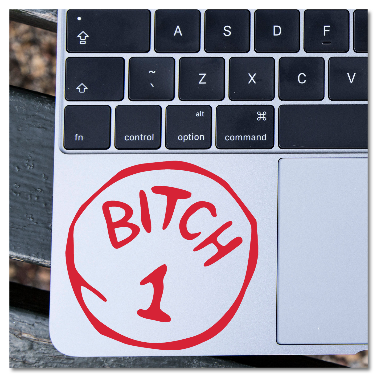 6" Humorous Dr. Seuss B*tch 1 Vinyl Decal Sticker