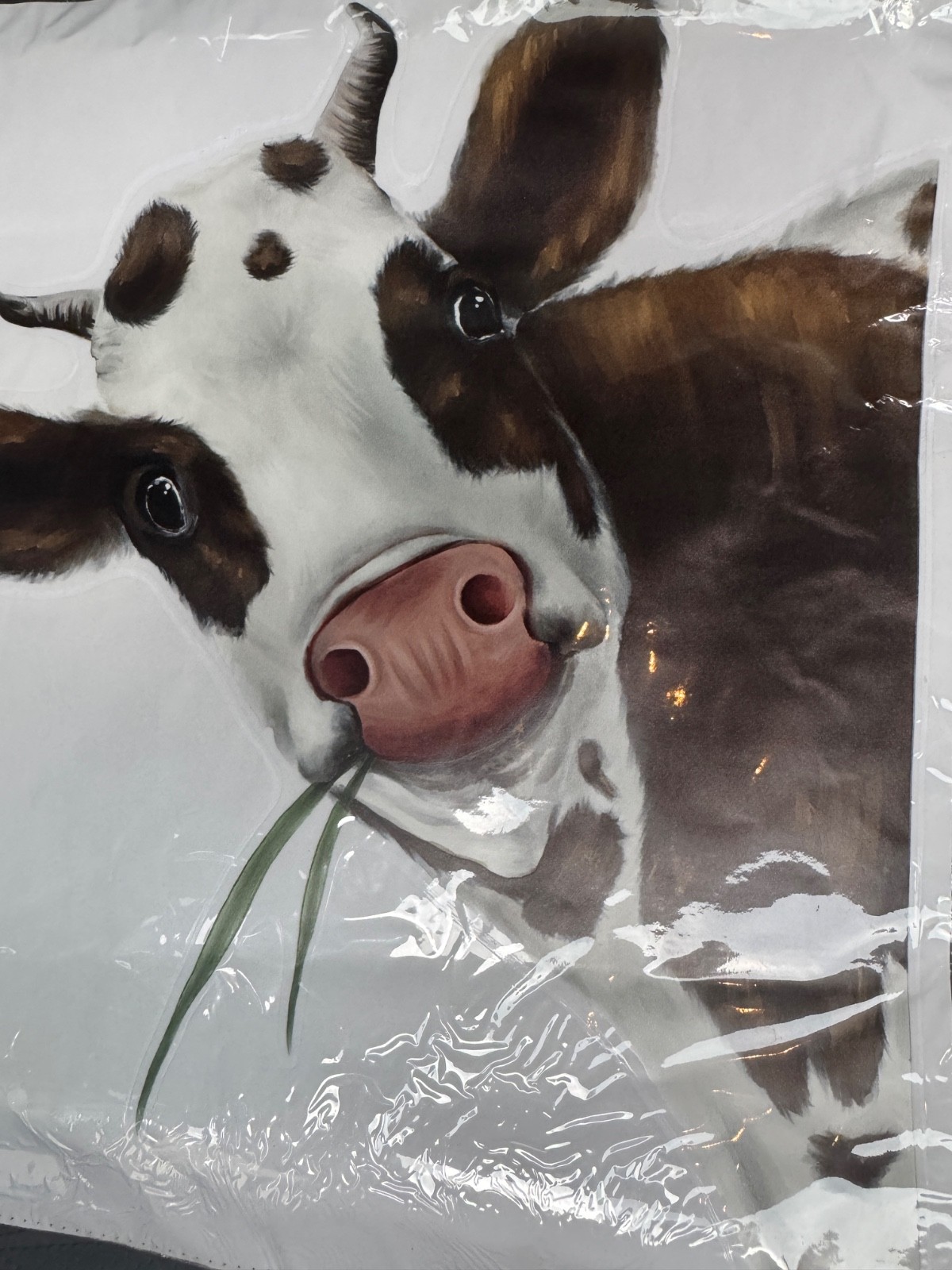 Cow Window Sticker Animal Print Wall Funny 12×12 New