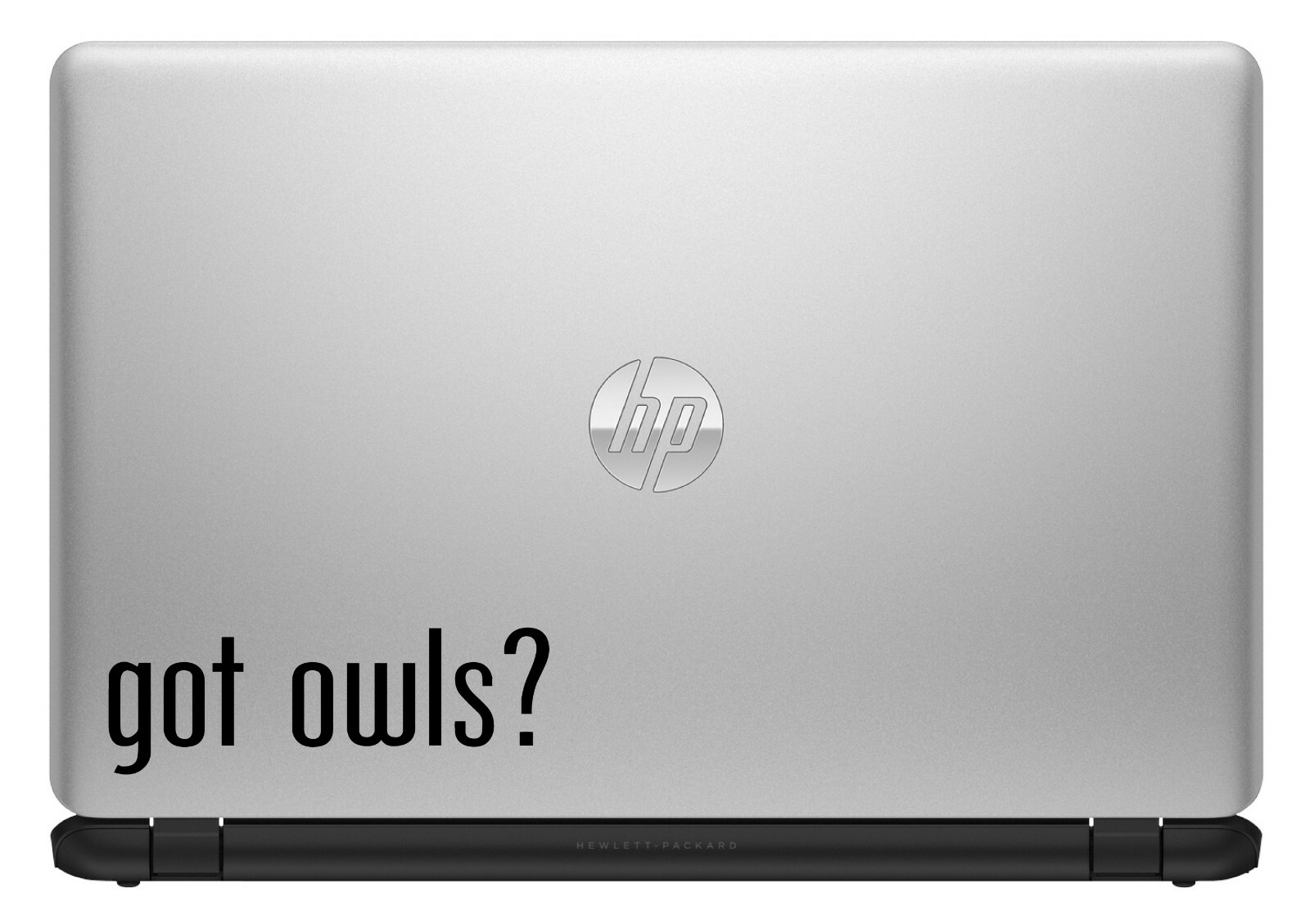 Got Owls? Custom Vinyl Sticker Decal Bird Watcher Nature Wildlife Animals