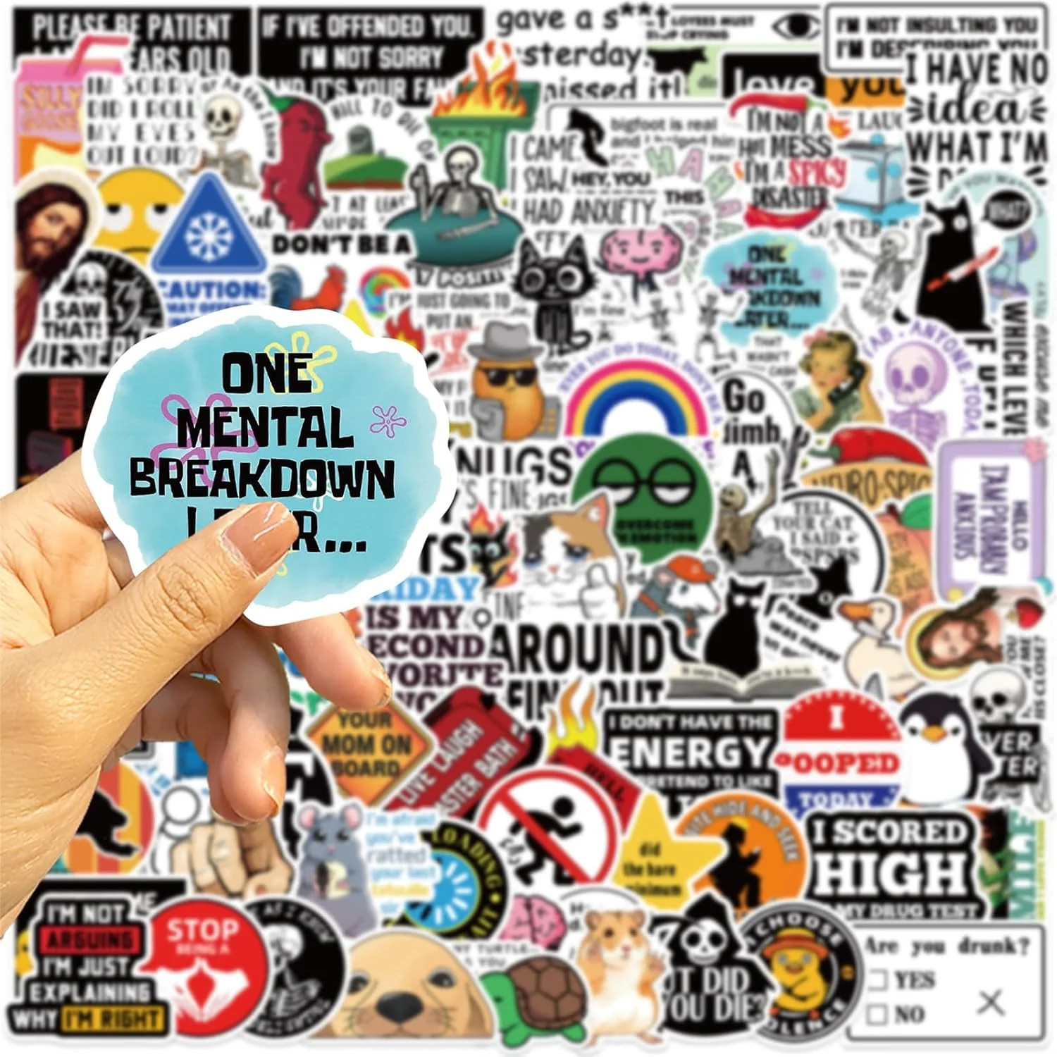 100 Pcs Funny Stickers for Adults (Dirty) Meme Water Bottles Sticker Pack Waterp