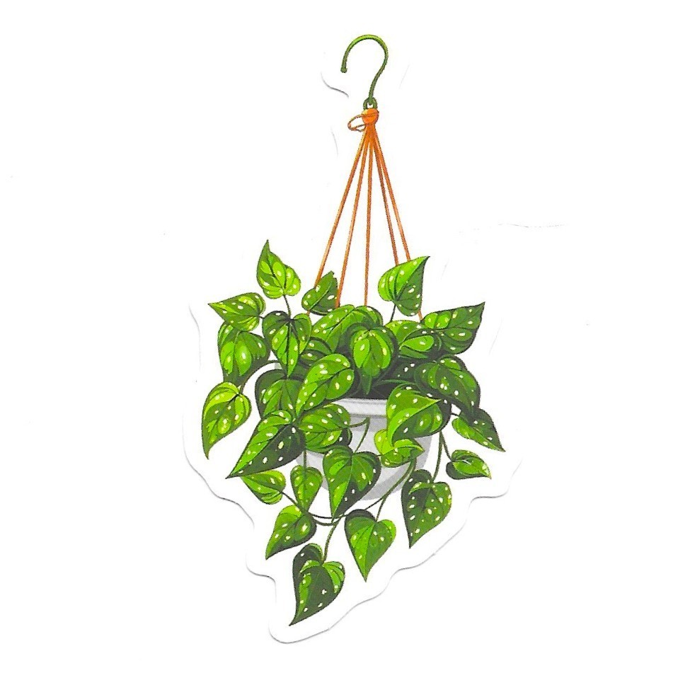 Scindapsus Satin Pothos Vinyl Sticker Die Cut Hanging Plant Journal Cute