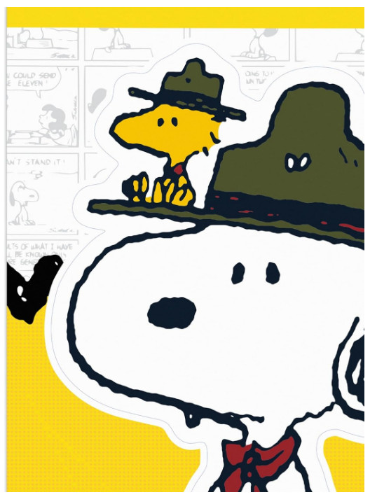 Peanuts Camp Snoopy Adhesive Vinyl Decal – Fun Snoopy and Woodstock Sticker for