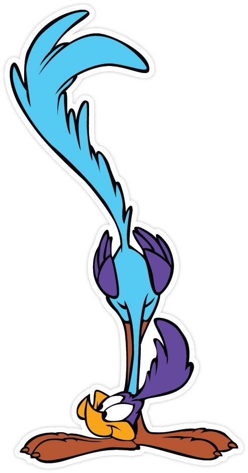Wile E. Coyote Road Runner Cartoon Vinyl Sticker Decal WALL *SIZES*