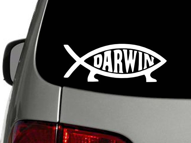 DARWIN EVOLUTION Vinyl Decal Car Sticker Wall Truck CHOOSE SIZE COLOR