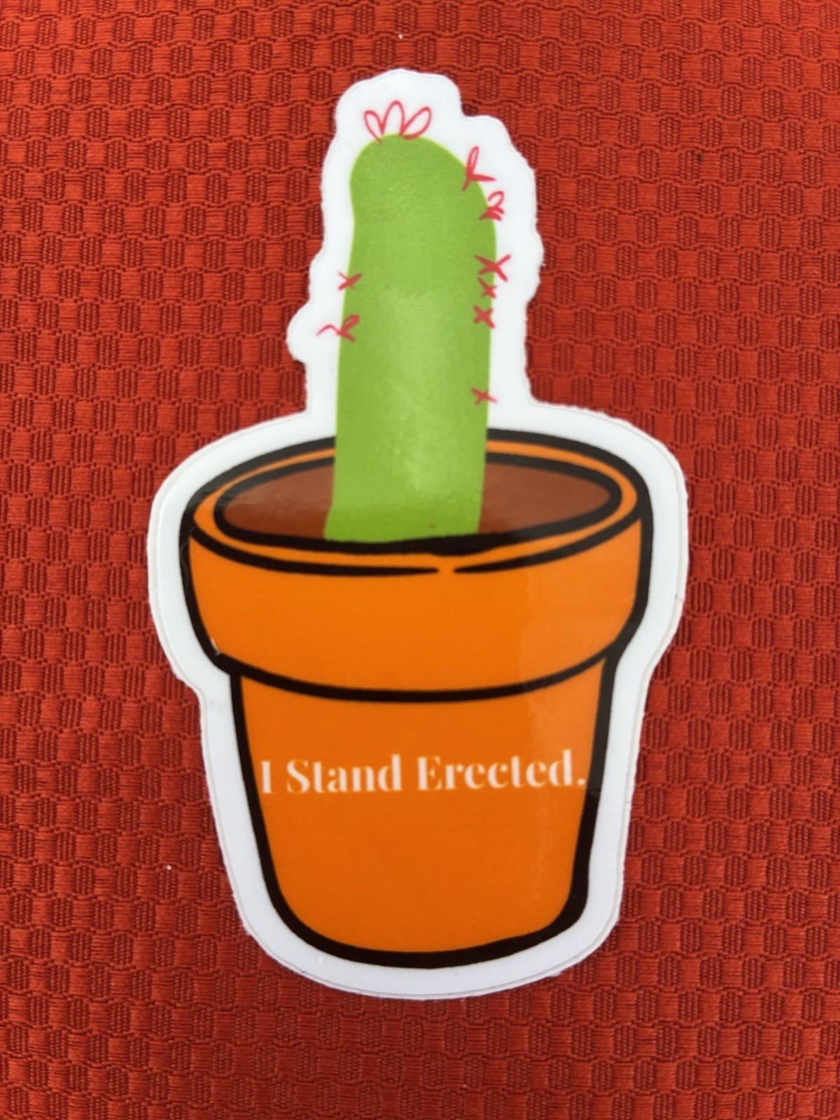 Plant Sassy Stickers Plant Lover 2×2.5in