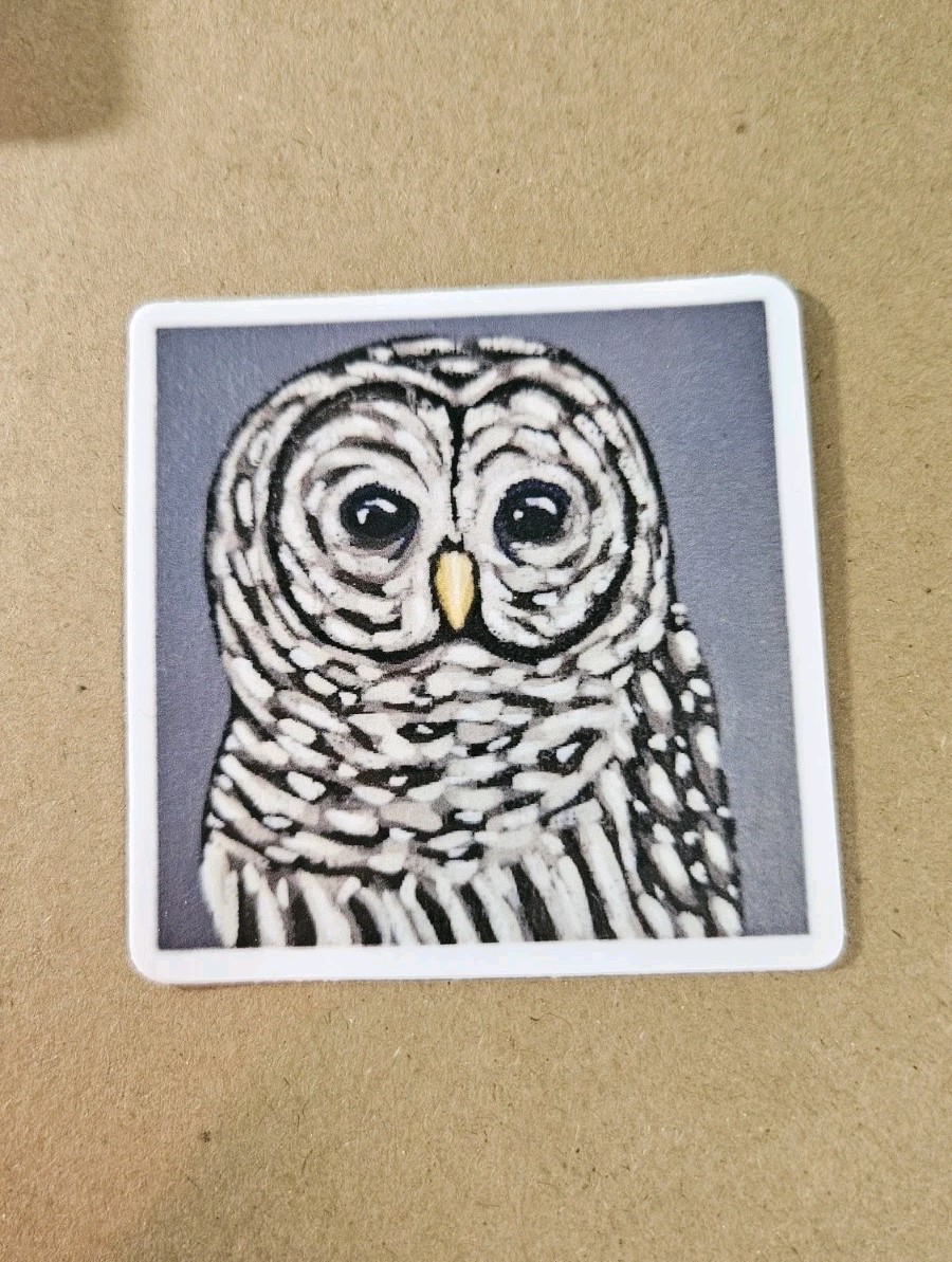 Owl Sticker Matte Vinyl, Original Art, 2.5" Square Sticker of Barred Owl Art