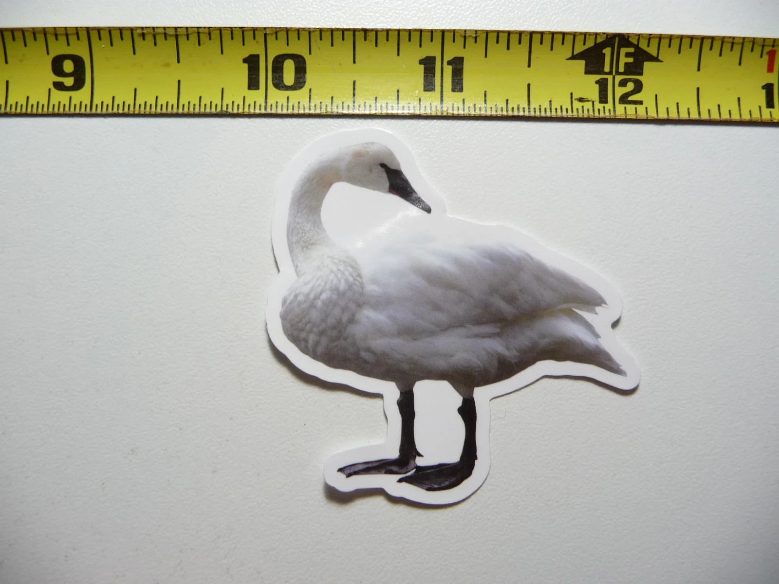 TRUMPETER TUNDRA SWAN BIRD SMALL STICKER DECAL WILDLIFE PRESERVE NATURE ANIMAL