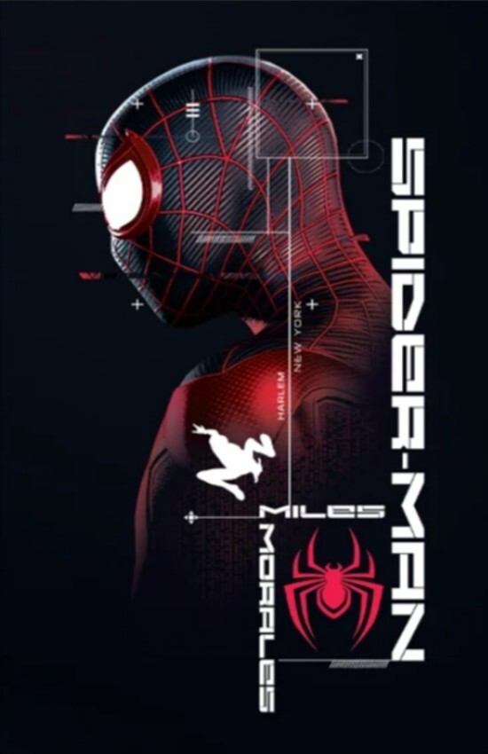 Web Hero Comic Wall Vinyl Decal Poster Print Removable Adhesive Graphic