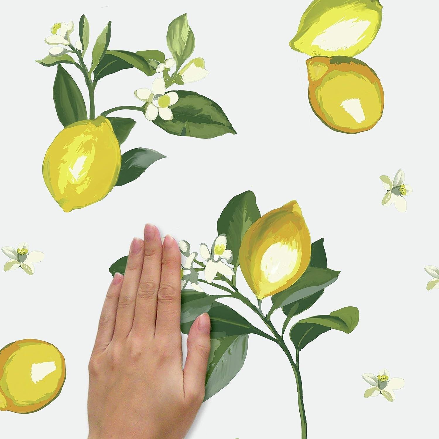 Giant Lemon Wall Decals – Bright Kitchen Fruit Peel and Stick Wall Art Stickers