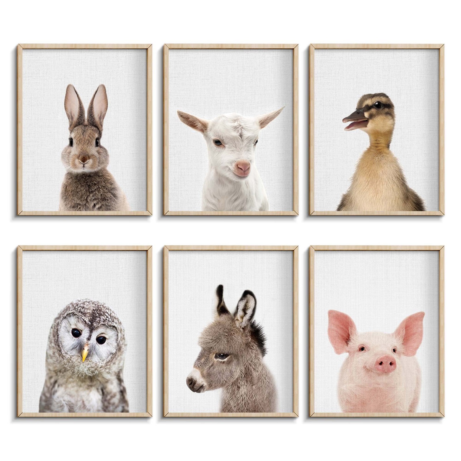 Farmhouse Baby Animal Posters and Prints, Cue Bunny, Duck Rabbit, Owl Prints,…