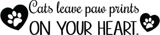 Vinyl Cat Bedroom Wall Decal Quotes – Cats Leave Paw Prints On Your Heart – 20×5