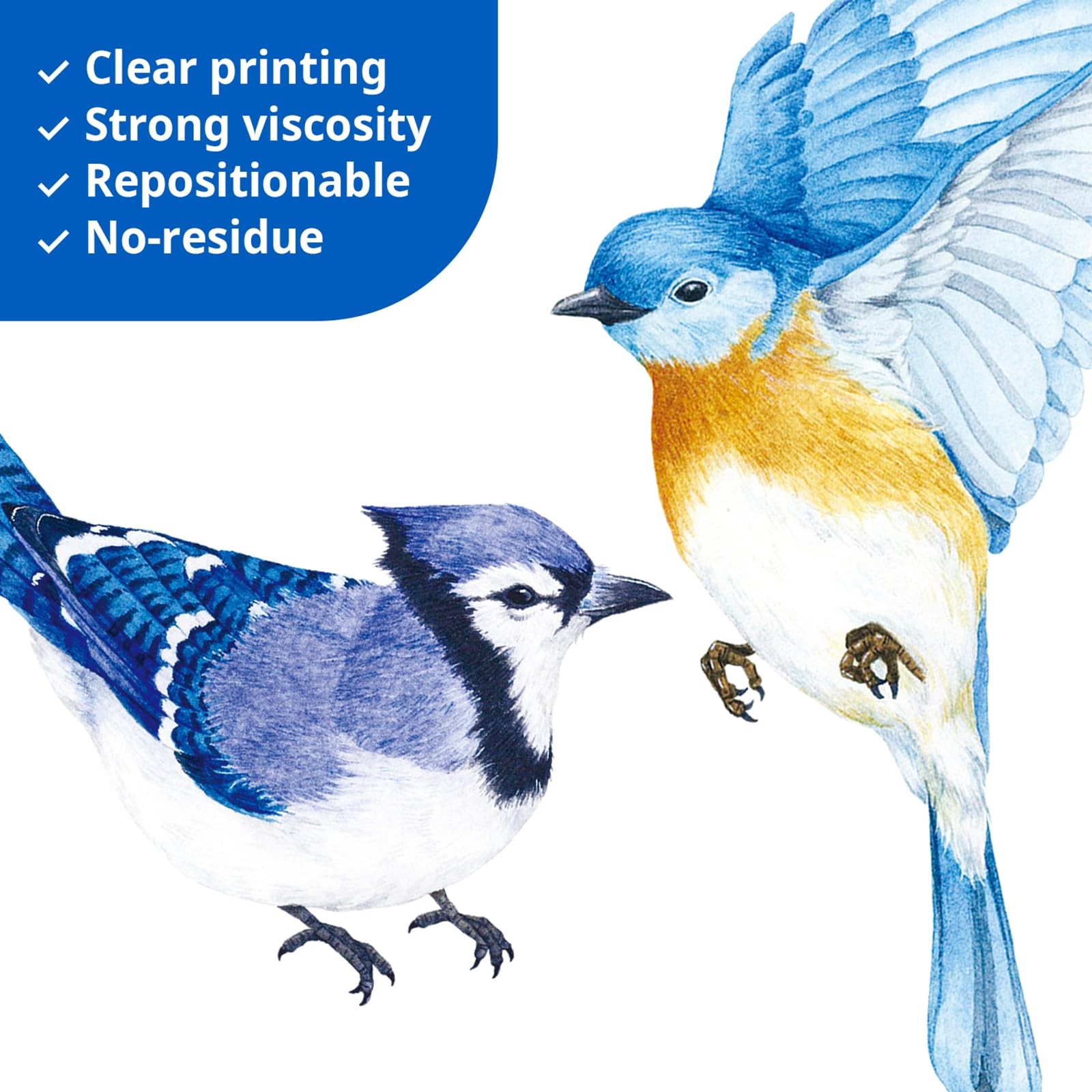 DECOWALL DS2-8042 Little Birds Wall Stickers 2 Count (Pack of 1), 8042