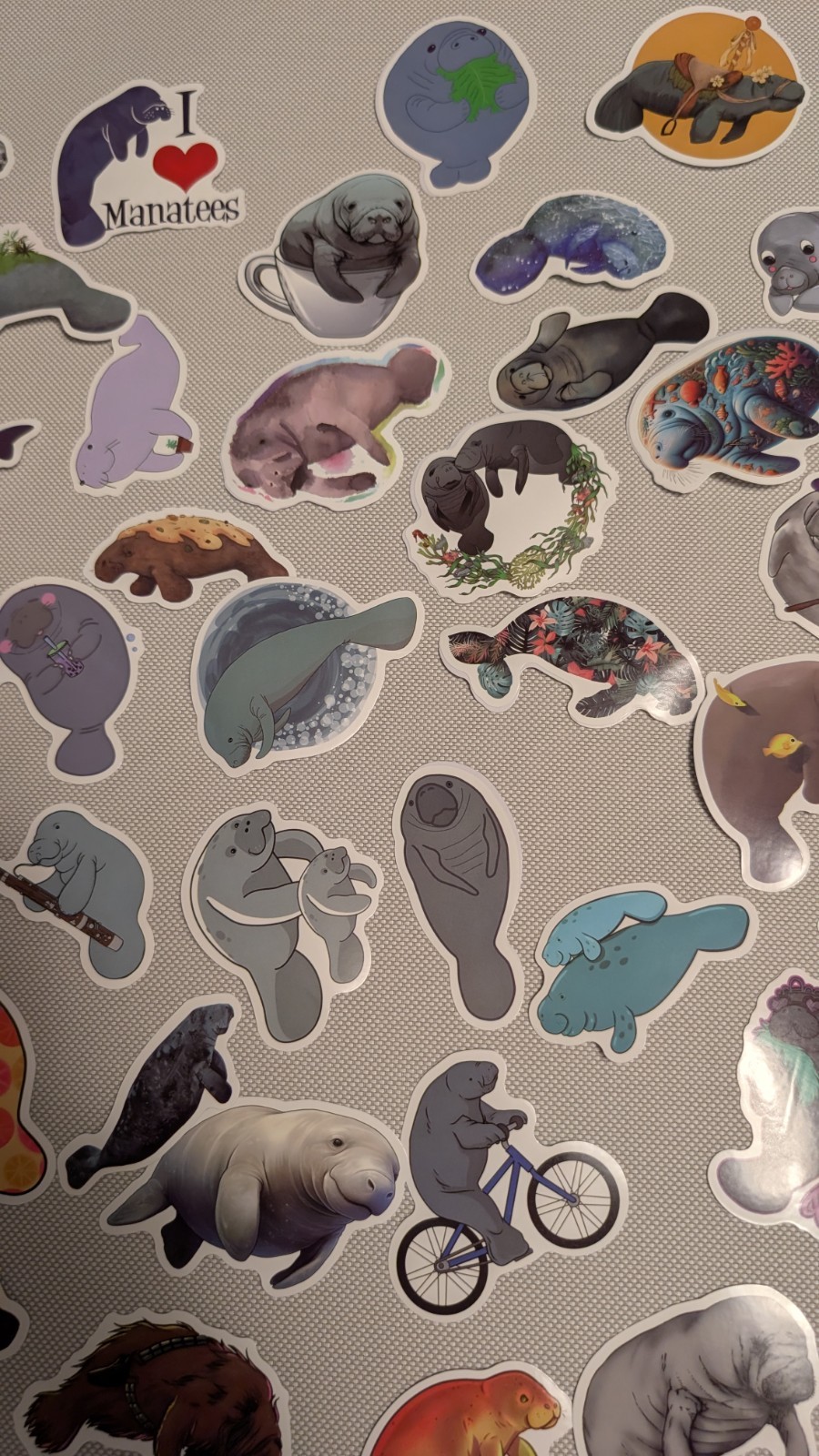 MYSTERY MIXED LOT OF 10 MANATEE GRAPHIC DECAL STICKER ART CAR WALL LAPTOP DECOR