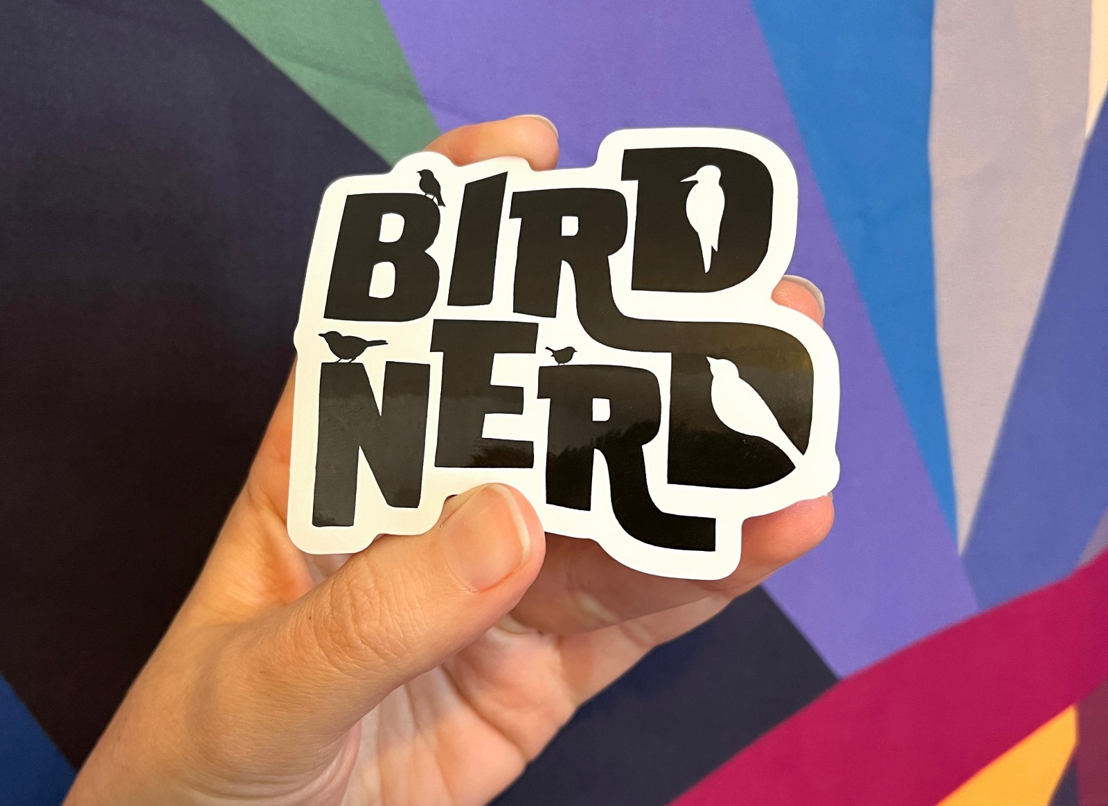Bird Nerd sticker – Awesome die-cut decal for cars, water bottles, laptops, more