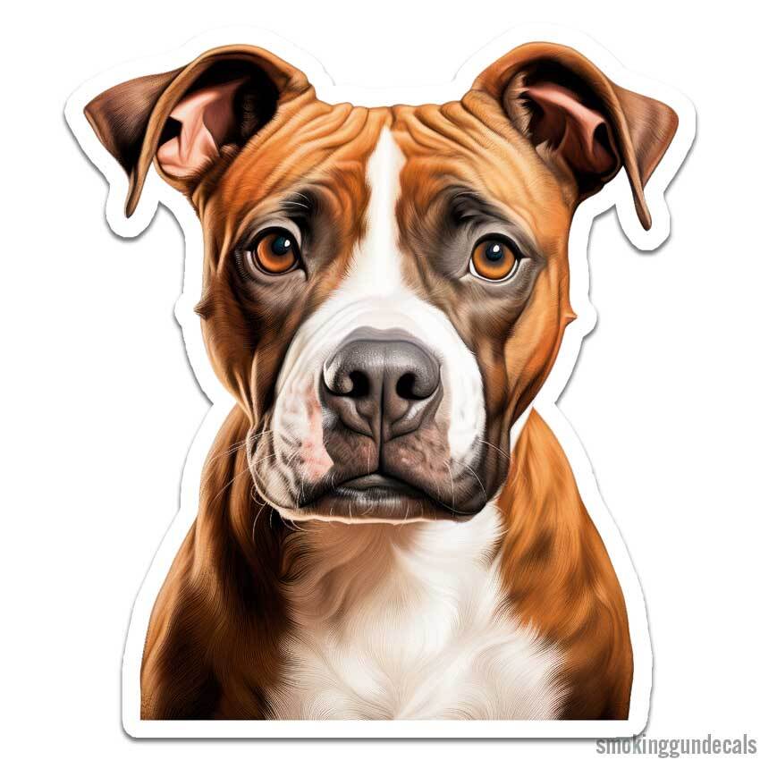 American Staffordshire, Vinyl Decal Sticker, Indoor Outdoor, 3 Sizes, #12168