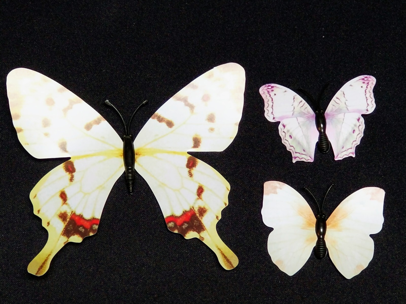 NEW , 12 Paper & Plastic Butterfly Pin set . Each Different, has sticky tabs.