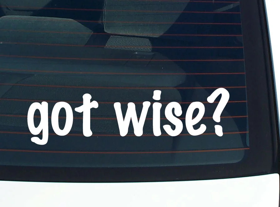 got wise? FUNNY VINYL CAR DECAL STICKER FAMILY LAST NAME
