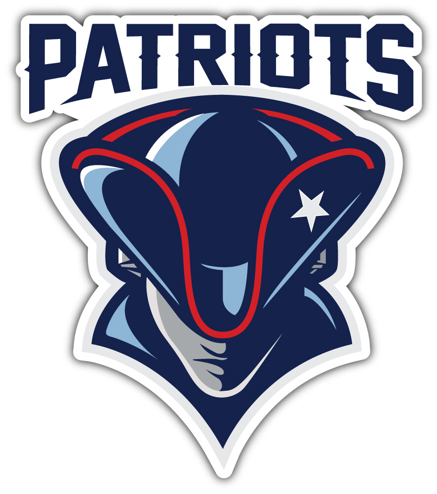 New England Patriots NFL Sport Logo Car Bumper Sticker Decal "SIZES"