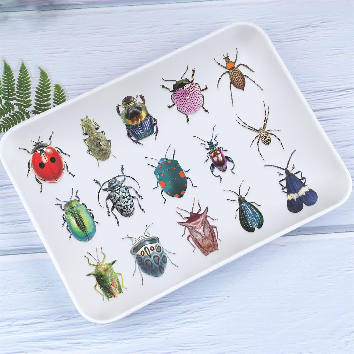 50PCS Insect Stickers PET Transparent Stickers Lifelike Nature World Decals Wate
