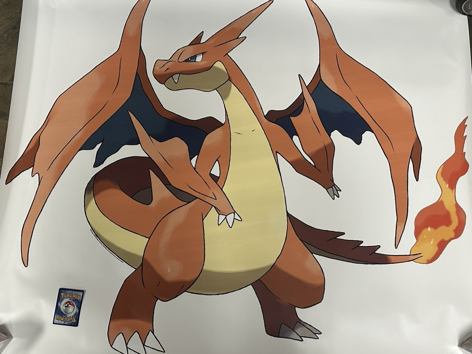 Mega Charizard Y Wall Decal Pokemon Official Mega Evolution Large Decal Room