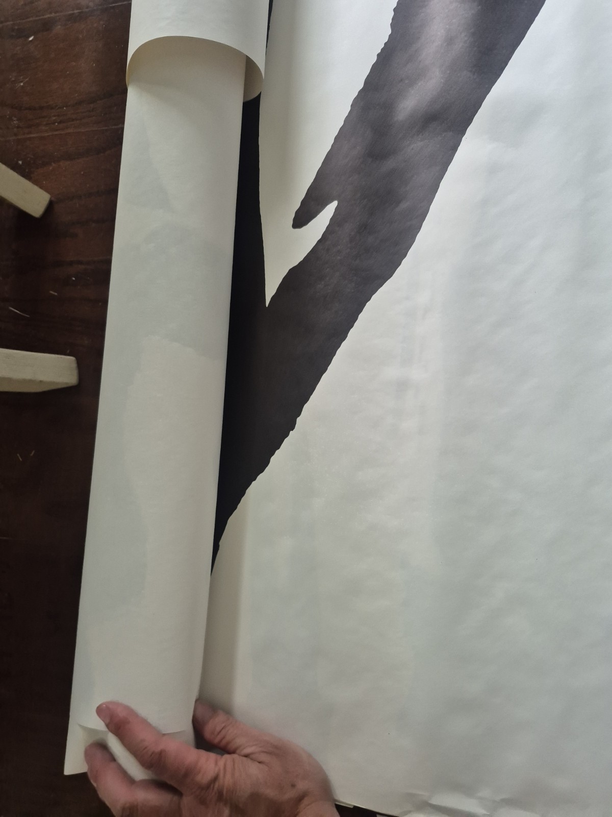 Environmental Graphics Store Display Nude Black White Art Mural Pannels 1990's