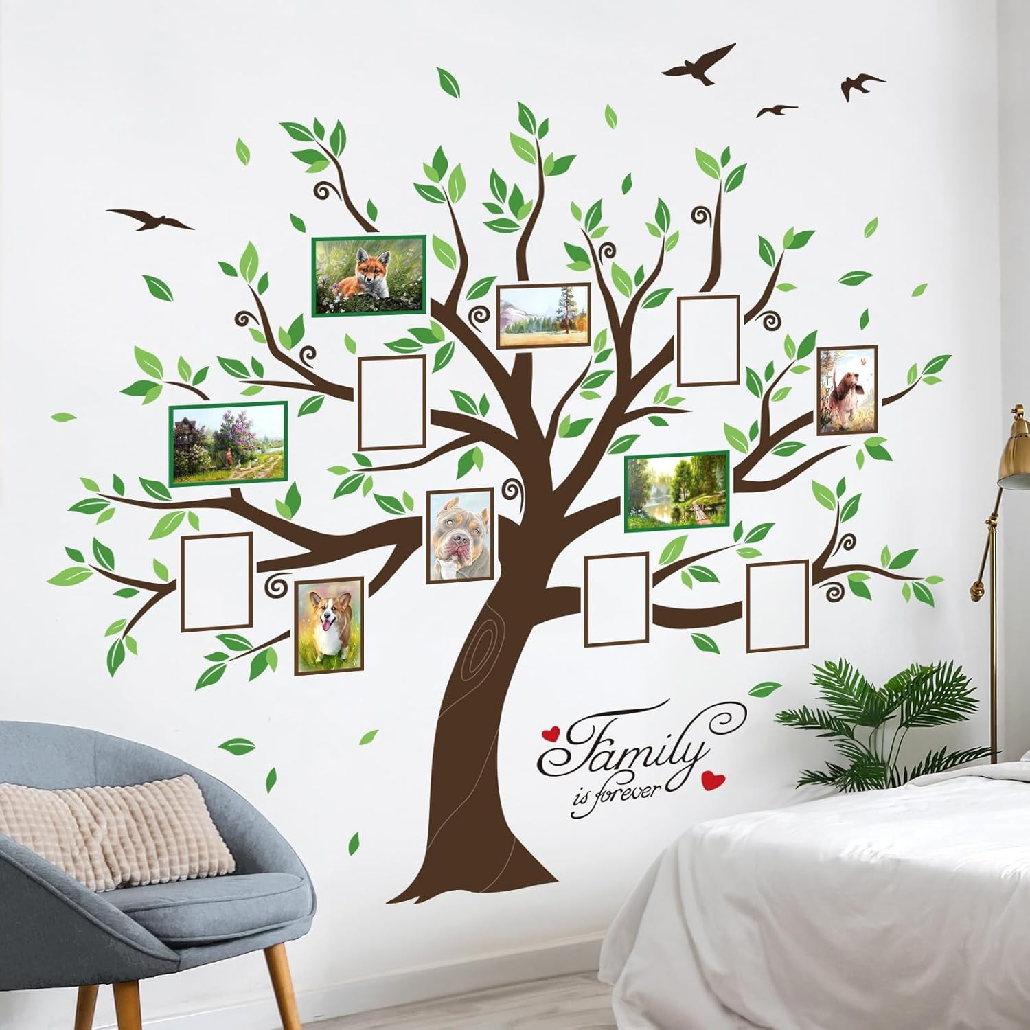 decalmile Large Family Tree Wall Decals DIY Photo Frame Multi