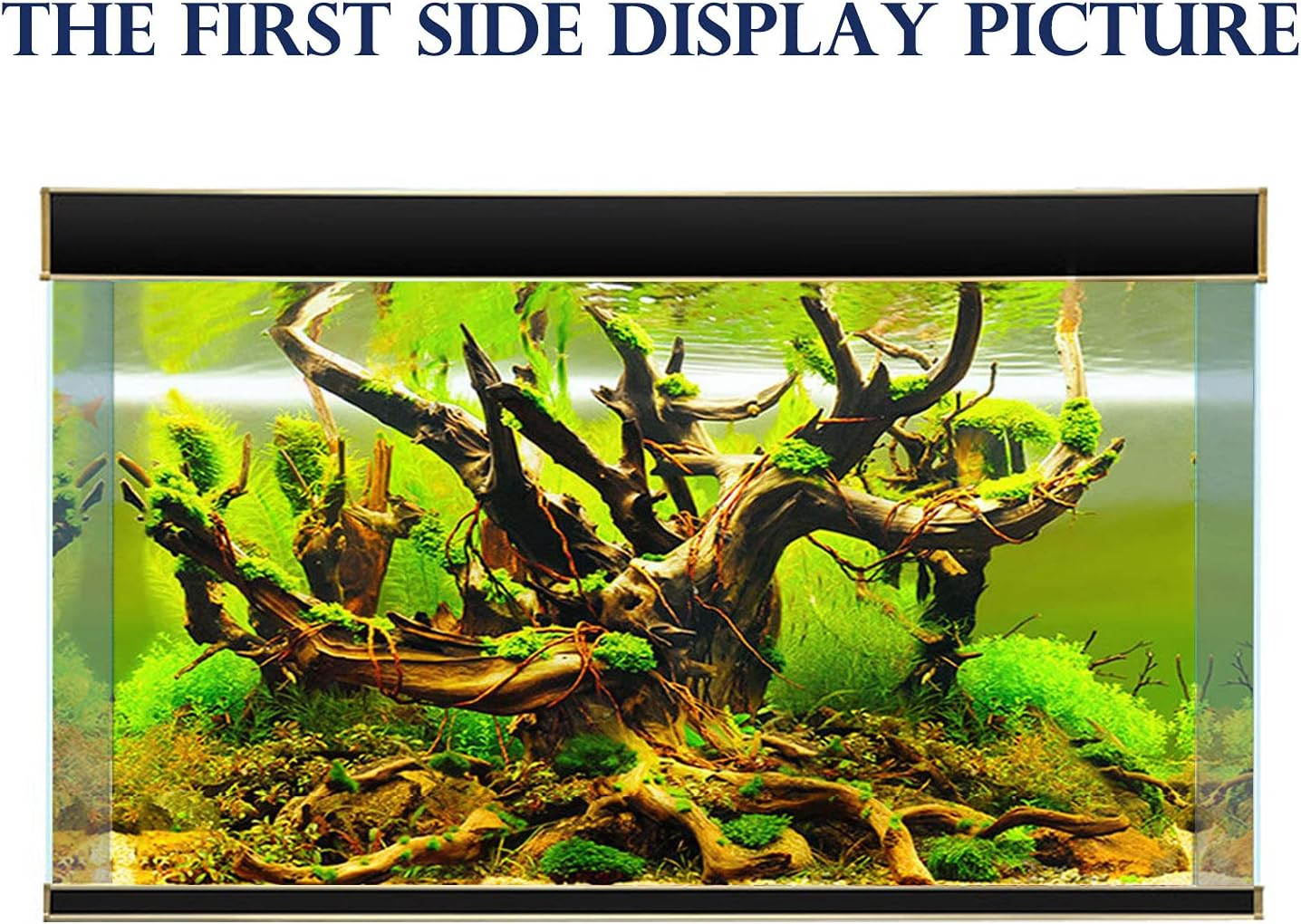 New 20" X 48" Fish Tank Background Paper Wallpaper 2 Sided Colorful Seaweed Wate