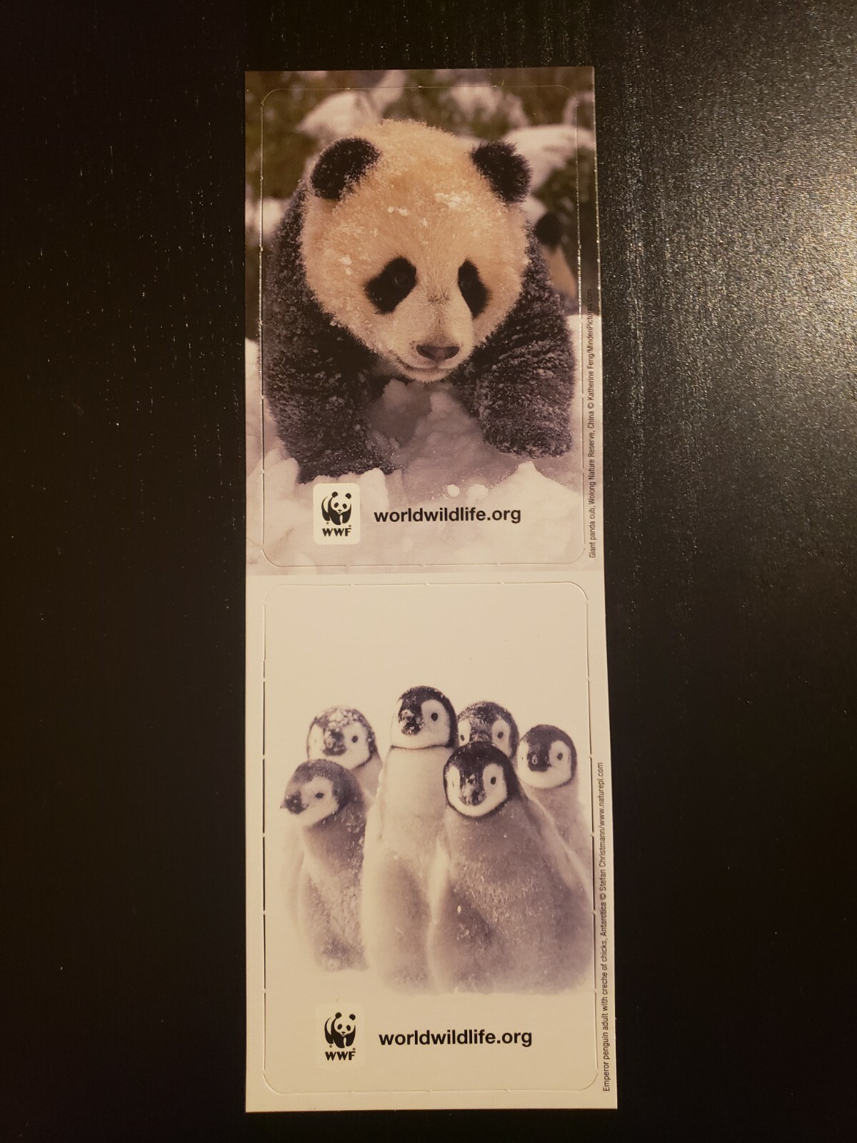 NEW World Wildlife Fund WWF 2021 Calendar Bookmark Tip Chart Card Animals Nature