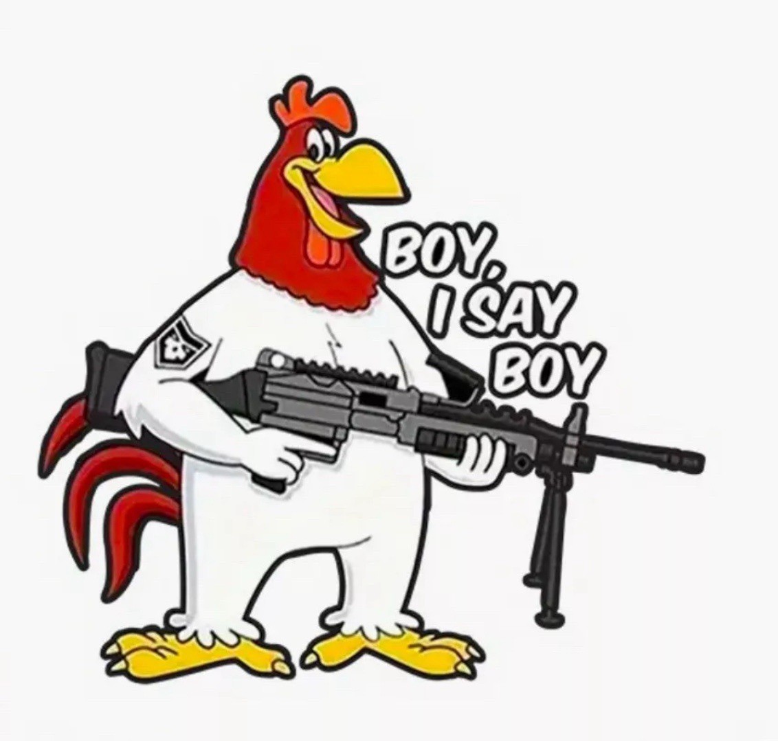 NRA 2A FOGHORN LEGHORN “Boy I Say Boy” 3” Inch Vinyl Sticker Decal 1PC