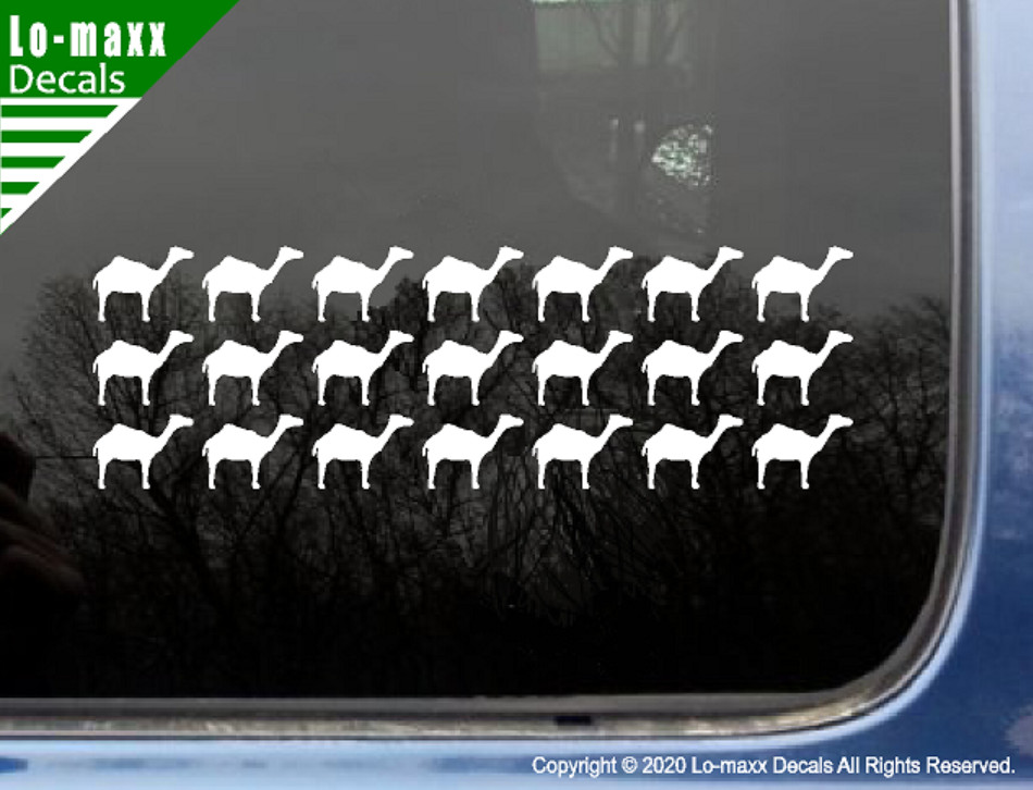 Camel Kill Markings Fighter Bomber Military Aircraft Combat Die Cut Vinyl Decal