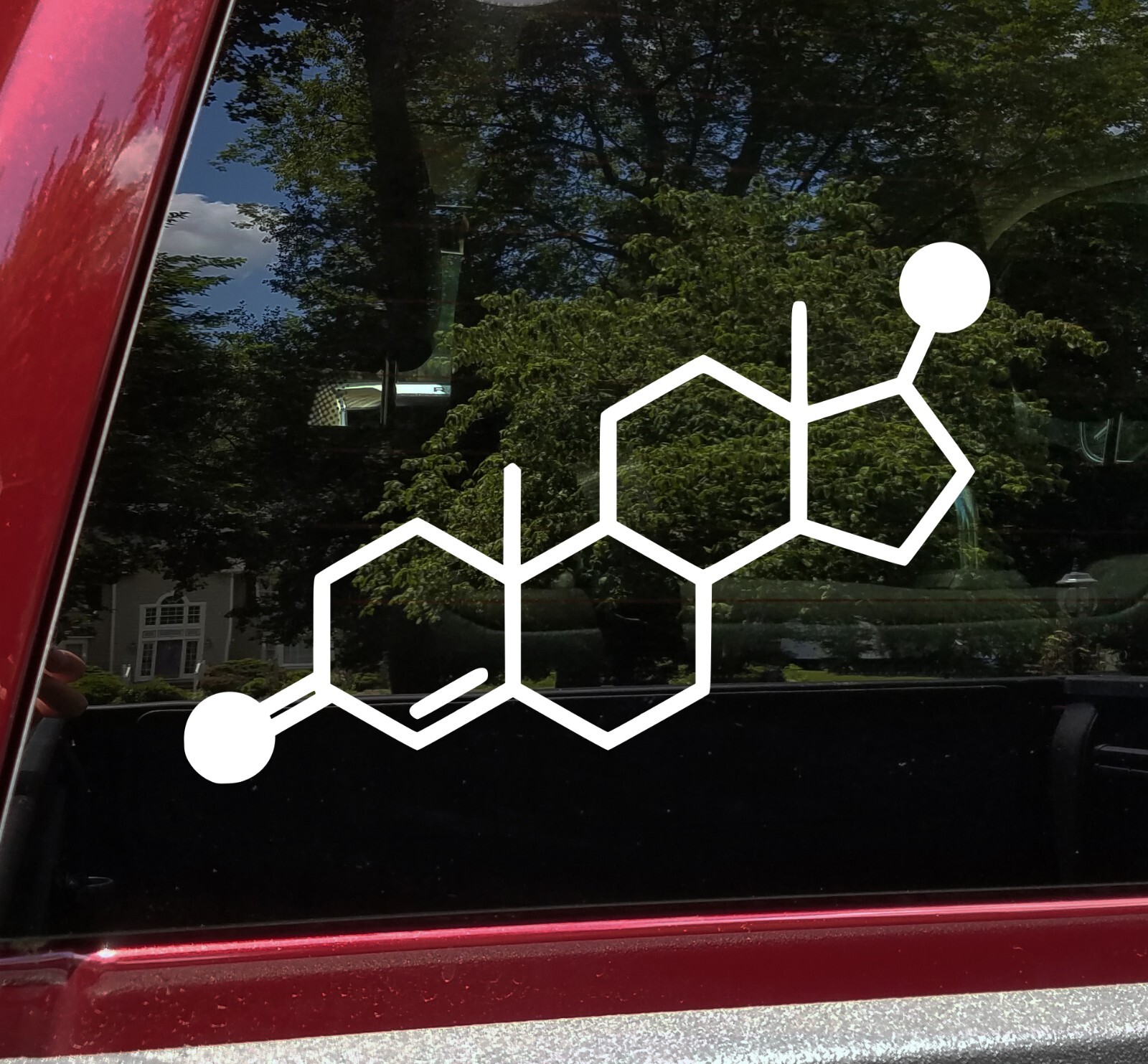 Testosterone Molecular Compound Vinyl Decal V2 – C19H28O2 Chemical Structure