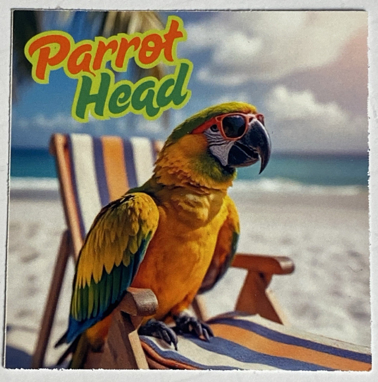 Jimmy Buffett Sticker Set of 10 WATERPROOF Margaritaville Parrothead Lost Shaker