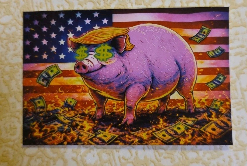 2" X 3" Sticker, America, Funny, Greed, Money Pig, Vibrant, USA