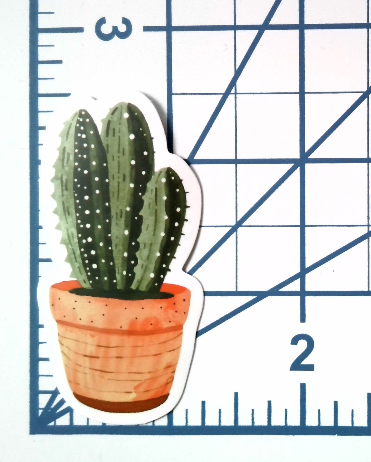 Vinyl Sticker Die Cut Cactus Decal Succulent Desert Plant Journal Scrapbook Cute