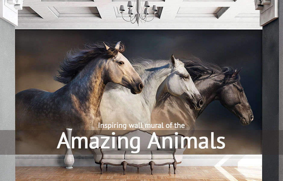 3D Animal Dragonfly A236 Wall Stickers Wall Murals Wallpaper Brigid Ashwood Vera