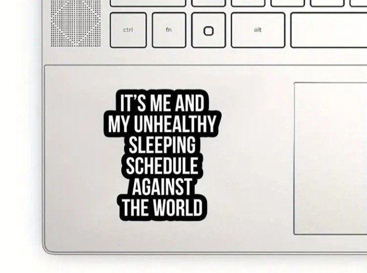 It's Me and My Unhealthy Sleeping Schedule Against the World Vinyl Decal