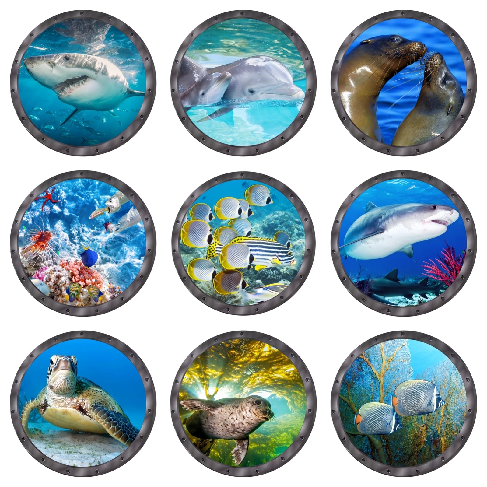 Wall Stickers & Murals, 9 Piece 11-Inch Marine Animal Decals with Porthole De…