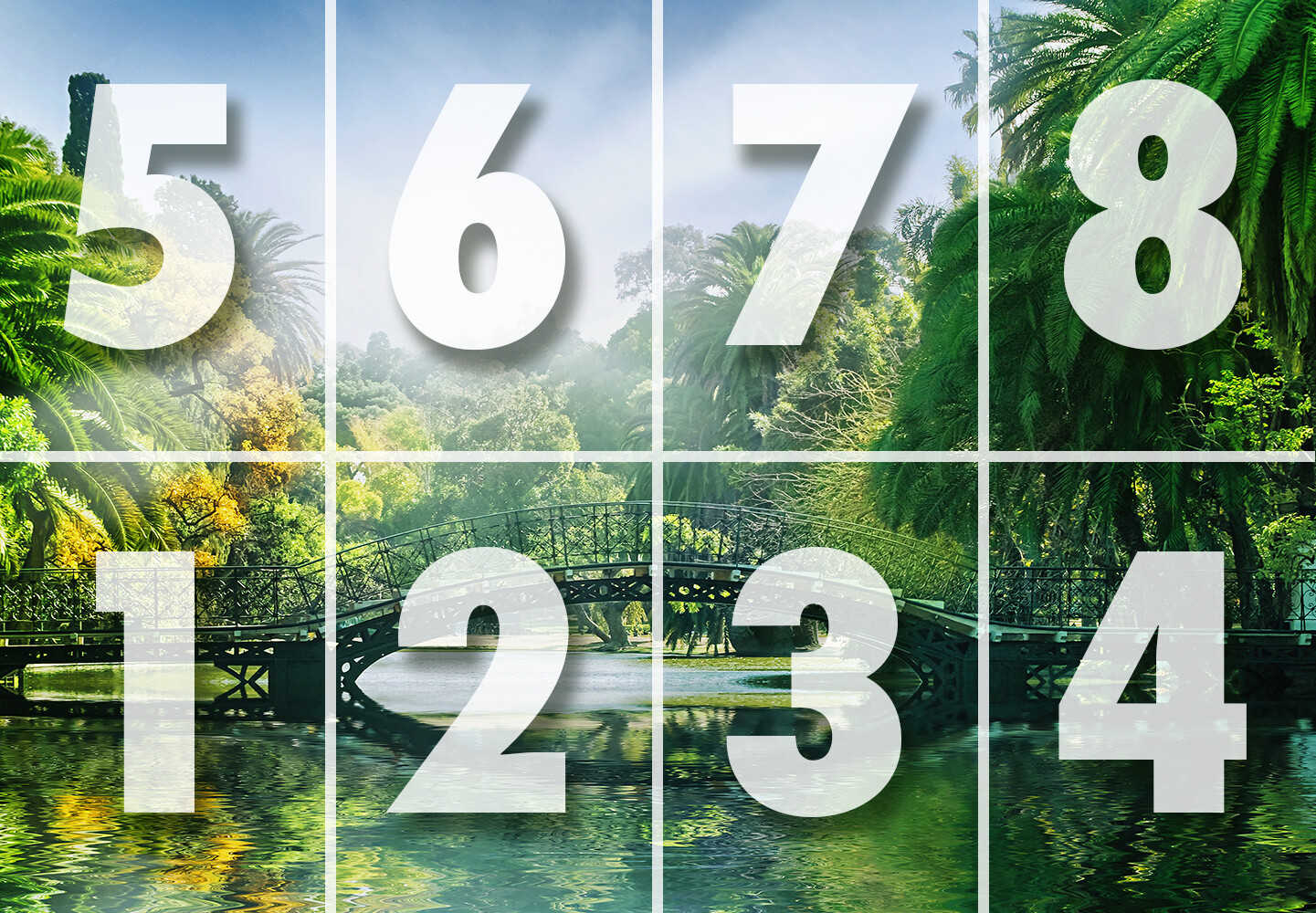 Tropical Garden Wall Mural 144Wx100H Removable Wallpaper Palm Tree Green Lak DIY