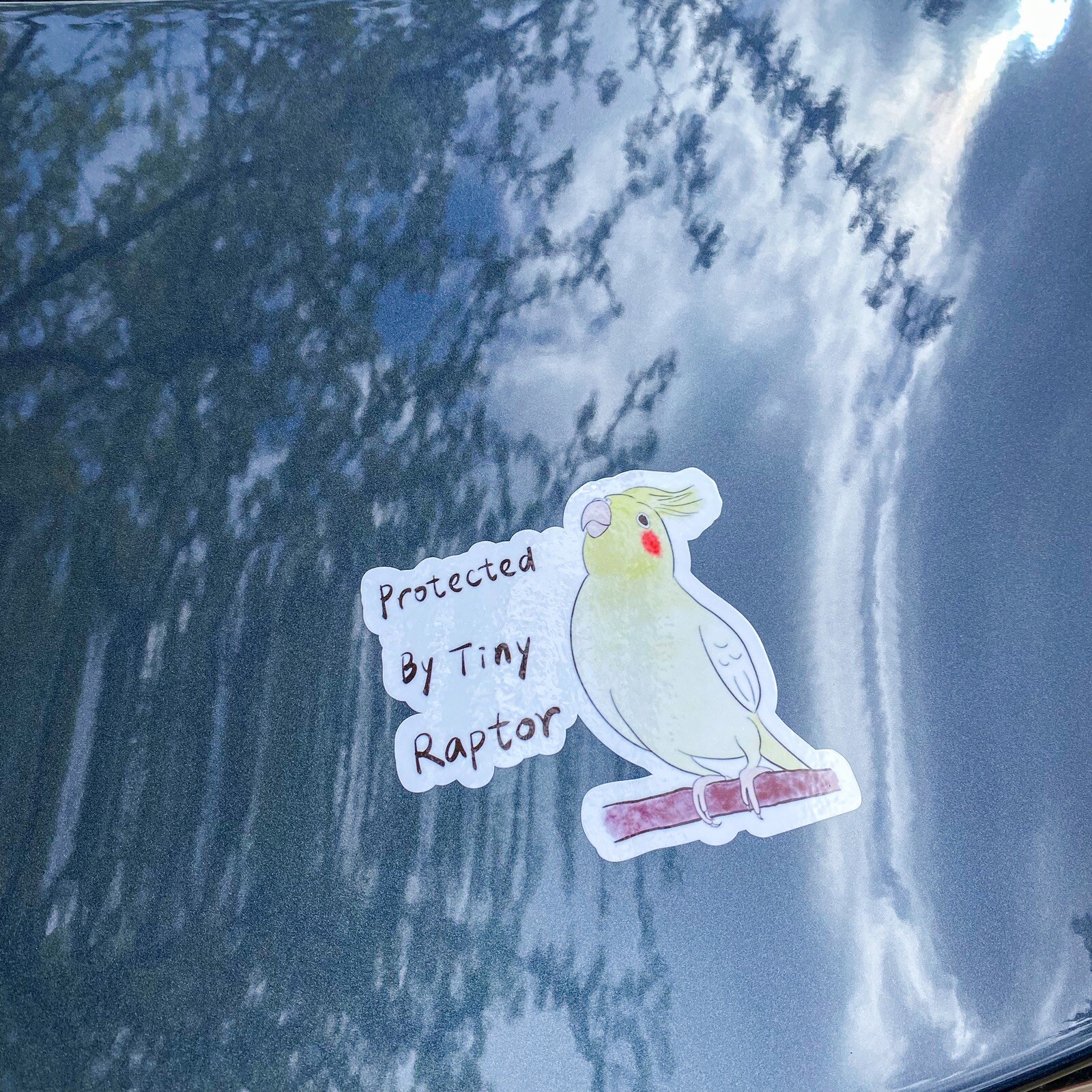 Lutino Cockatiel CAR Sticker Outdoor use / UV & Water Proof Parrot Sticker