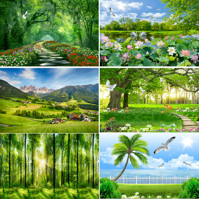 1x 3D Forest Wall Mural Landscape Wallpaper Art wall Paint Removable Sticker
