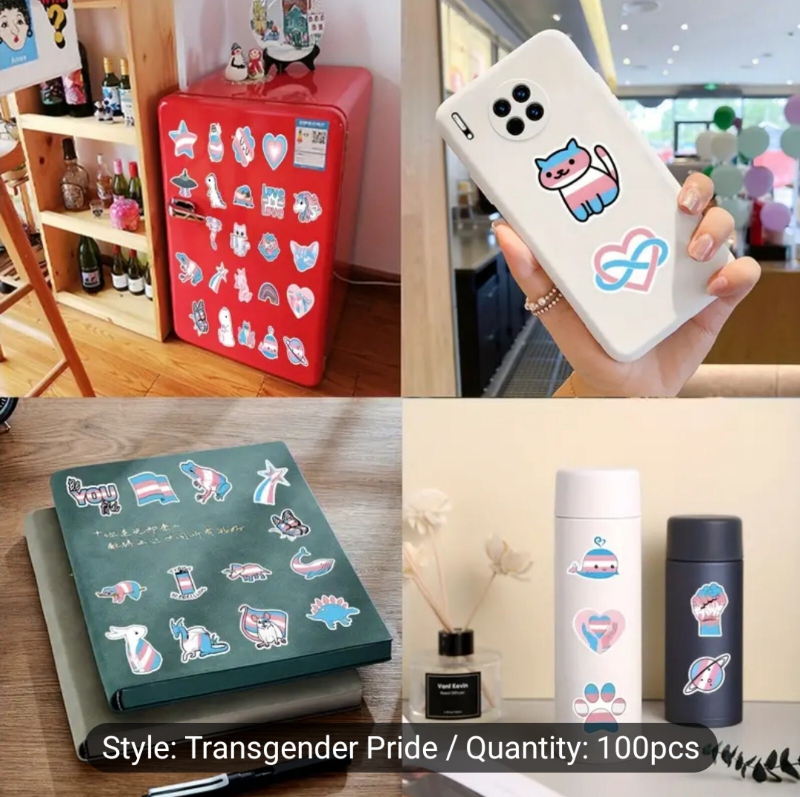 10 PCS Trans Queer Pride Stickers BRAND NEW