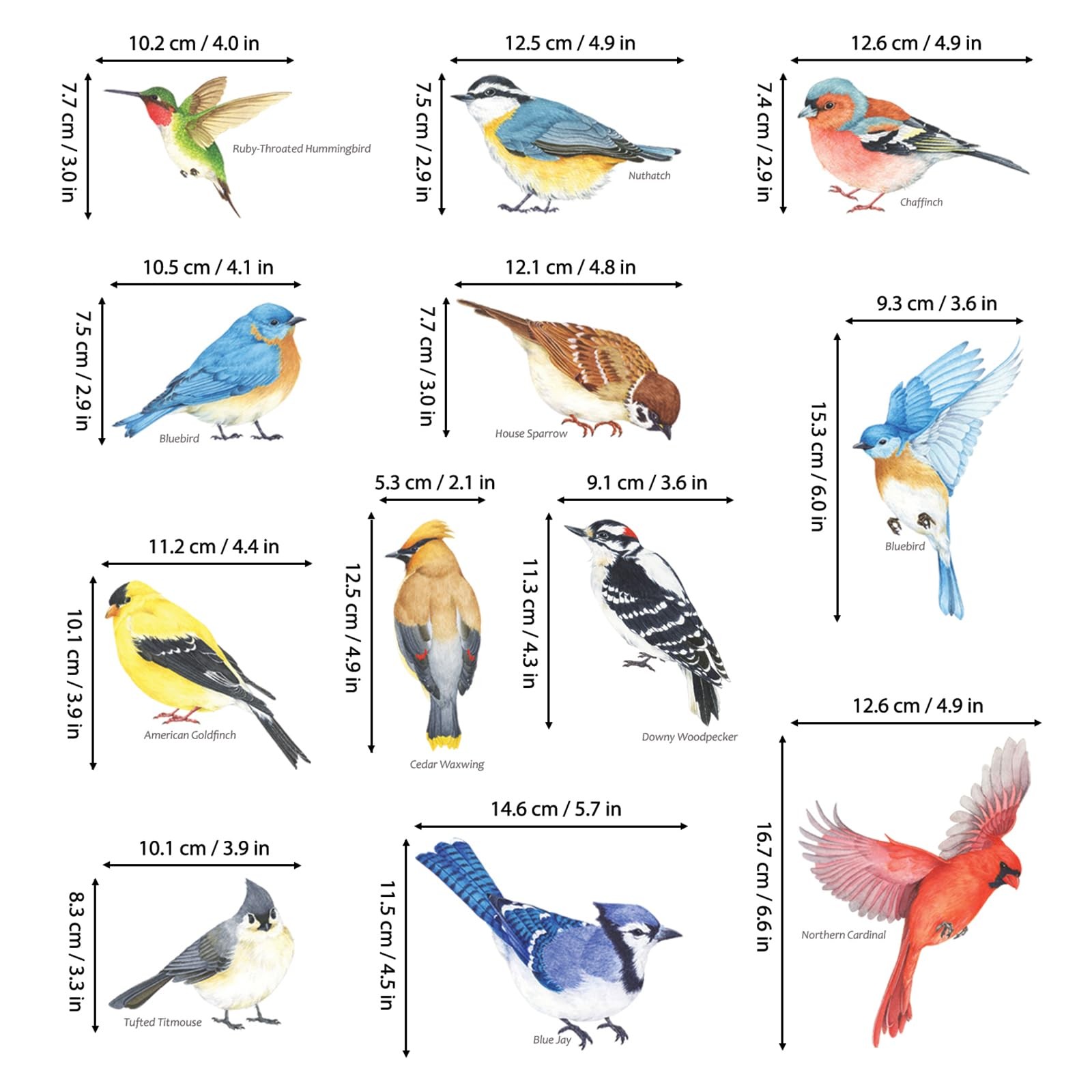 DECOWALL DS2-8042 Little Birds Wall Stickers 2 Count (Pack of 1), 8042