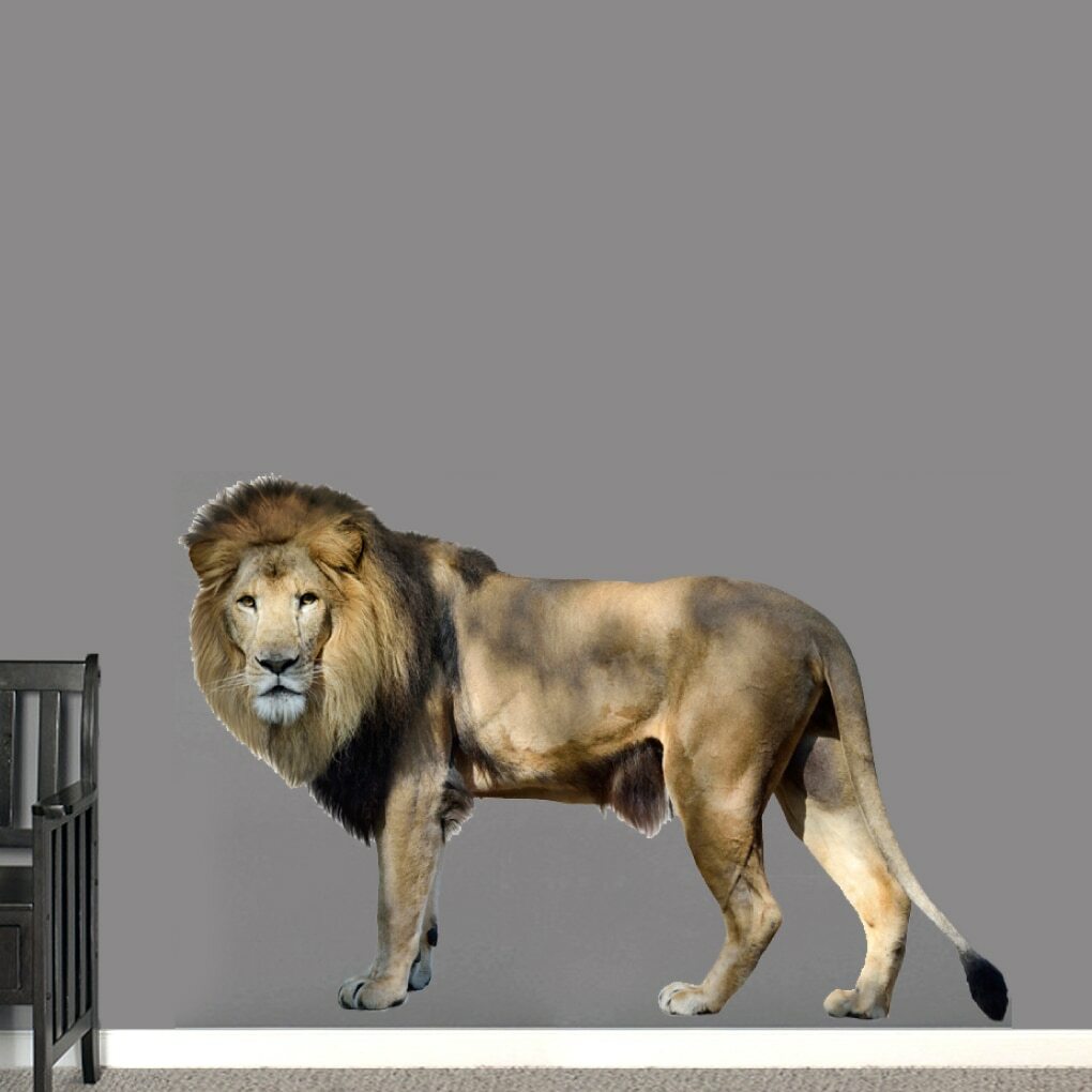 Real Life Lion Printed Wall Decal – Animals, Kids, Nursery, Playroom, Classroom