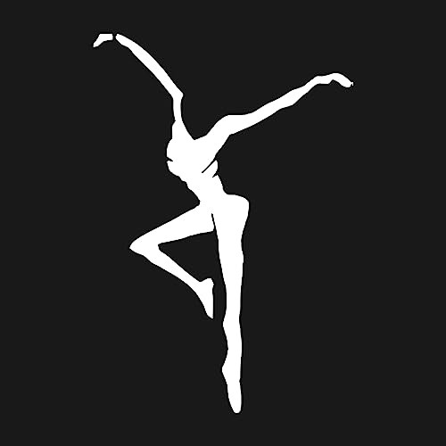 Fire Dancer Vinyl Premium Quality White for Car Bumper Truck Van SUV Window