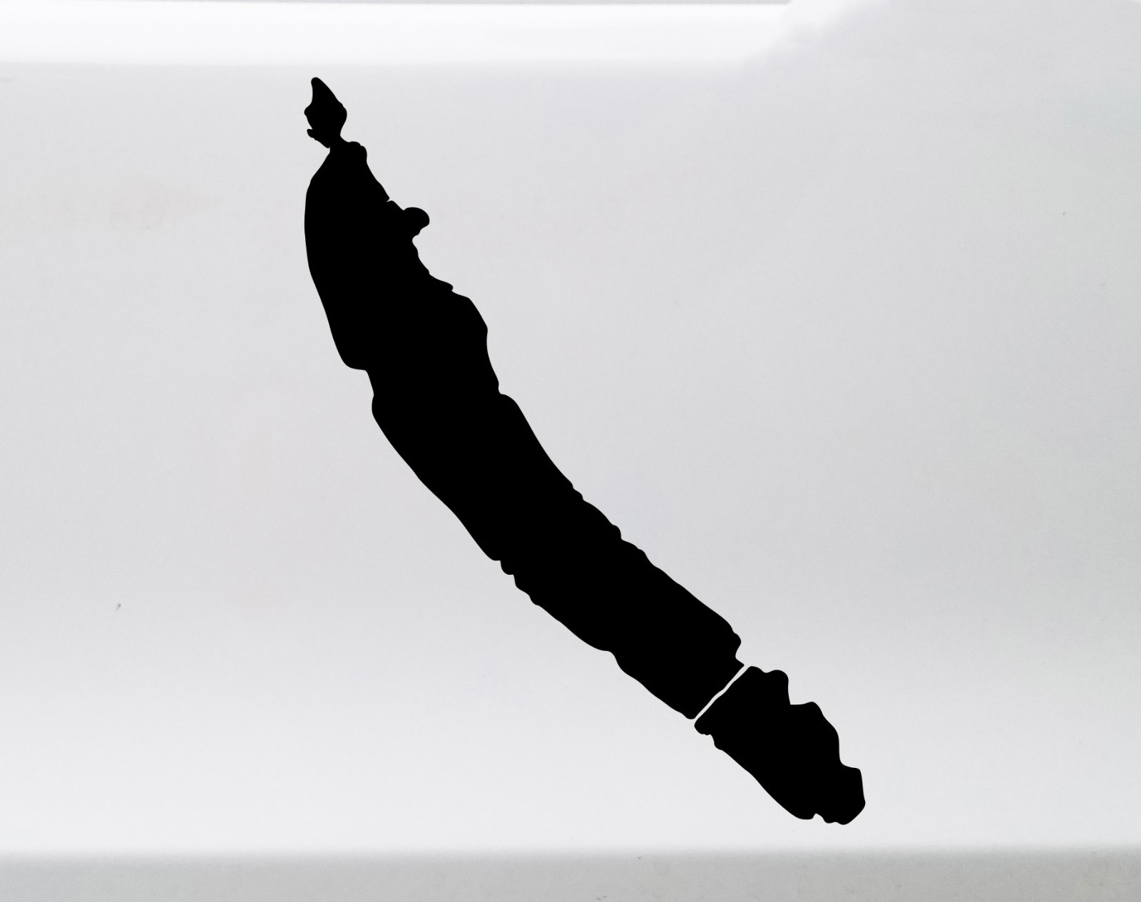 Otisco Lake Vinyl Sticker Decal Finger Lakes New York Life